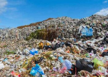 Government-approves-proposal