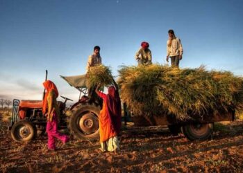 Jharkhand government initiates brand for forest products through Sido-Kanho Agriculture and Forest Produce Federation