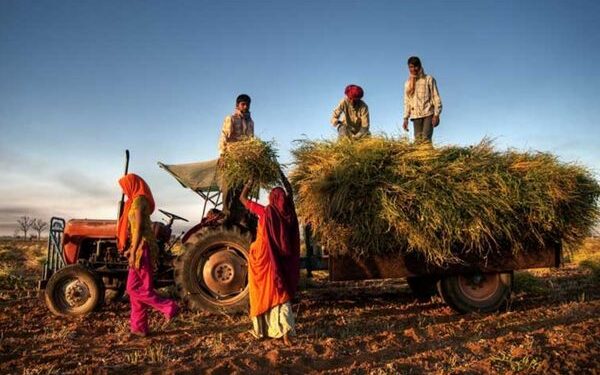 Jharkhand government initiates brand for forest products through Sido-Kanho Agriculture and Forest Produce Federation