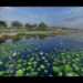 Mokarsagar wetland to be developed as eco-tourism site