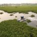Berhampur Municipal Corporation unveils machine to clear weed from water bodies