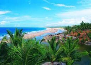 Central Marine Fisheries Research Institute to set up clinics to assess water quality in Kerala