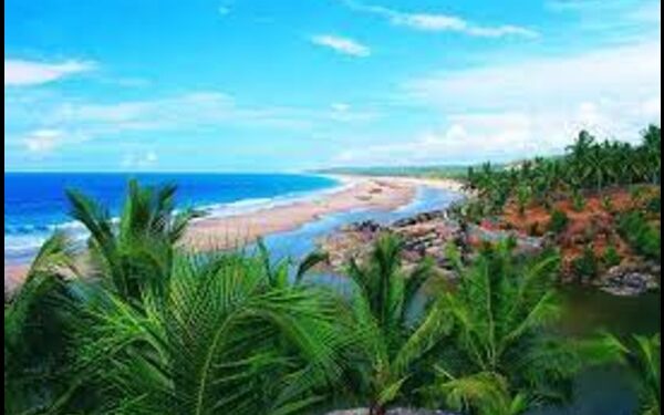 Central Marine Fisheries Research Institute to set up clinics to assess water quality in Kerala