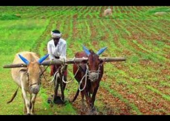 Coimbatore farmers invited to register on GRAINS website