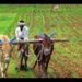 Coimbatore farmers invited to register on GRAINS website