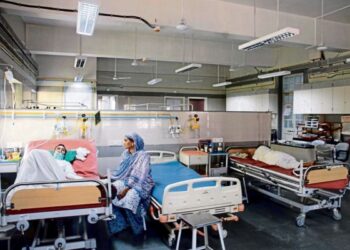 Government to set up surveillance units for disease outbreaks in 20 cities