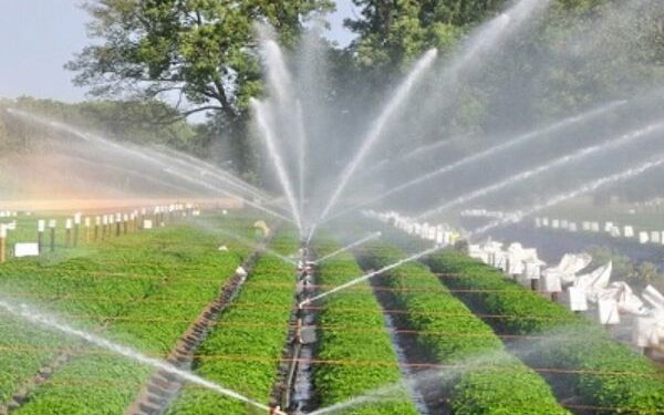 Pradhan Mantri Krishi Sinchayee Yojana Creates 24.35 Lakh Additional Irrigation Potential