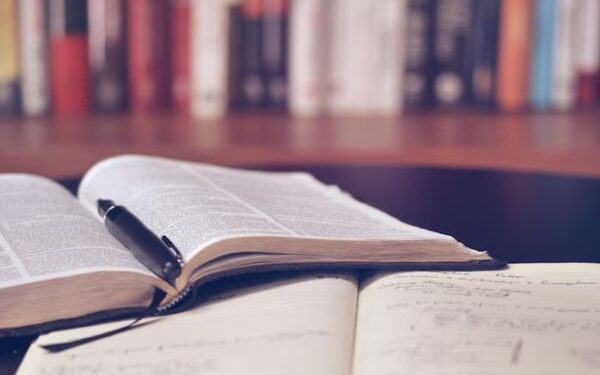 Government to set up high-level panel for implementing National Credit Framework