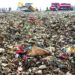 Green panel seeks action plan from Coimbatore corporation on legacy waste