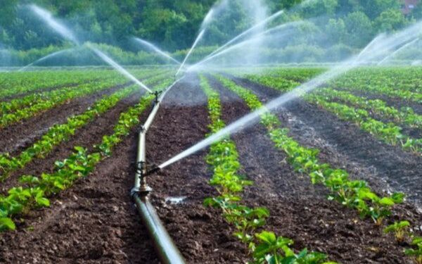 Odisha to Speed Up Chheligada Irrigation Project for Water Supply