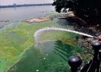 Toxic algal blooms in Hyderabad's Hussainsagar with sewage, industrial waste inflow