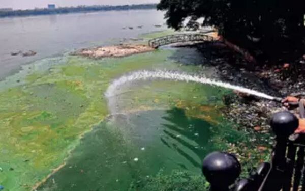Toxic algal blooms in Hyderabad's Hussainsagar with sewage, industrial waste inflow