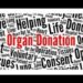 Union Health Minister reviews organ donation policy