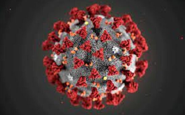 WHO proclaims COVID to be no longer global health emergency