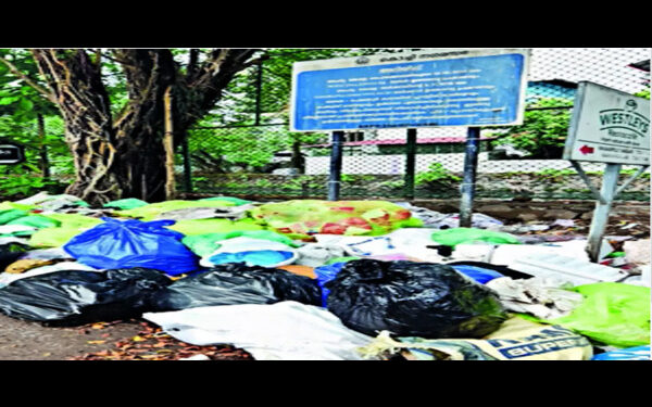 Kochi Corporation joins hands with agencies to remove waste