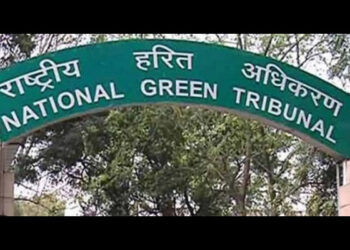 NGT admits plea against Thane Municipal Corporation over waste dump on creek bank