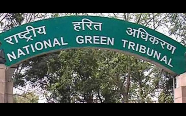 NGT admits plea against Thane Municipal Corporation over waste dump on creek bank