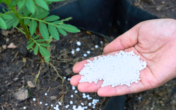 Cabinet approves PM-PRANAM to incentivise states to promote alternative fertilisers
