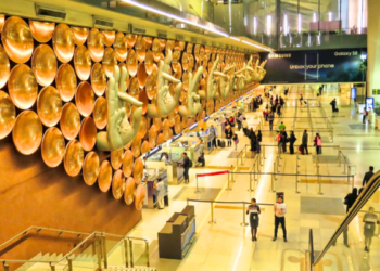 DIAL introduces self-baggage drop facility at Delhi airport
