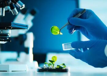 Nagaland seeks 5 basic food laboratories with adequate manpower from Centre