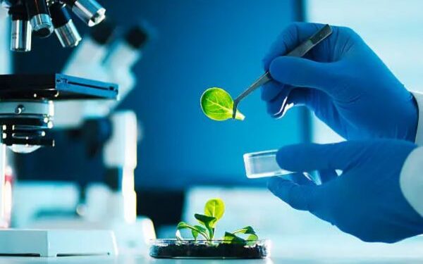 Nagaland seeks 5 basic food laboratories with adequate manpower from Centre