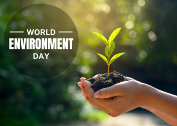 World Environment Day: Telangana ranks top on overall environmental performance