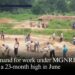 Demand for work under MGNREGS hits a 23-month high in June