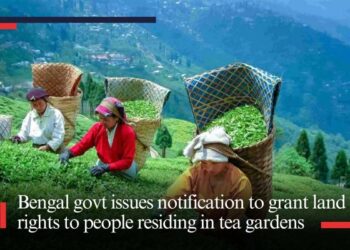 Bengal government issues notification to grant land rights to people residing in tea gardens
