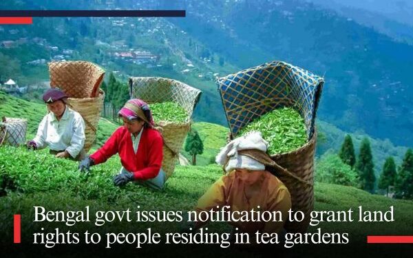 Bengal government issues notification to grant land rights to people residing in tea gardens