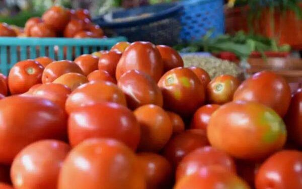 Centre asks NCCF, NAFED to sell tomatoes at Rs. 50/kg