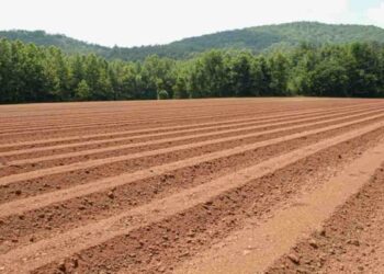 Government to take digitization of land records & maps to people