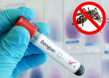 Mylab introduces new range of dengue tests