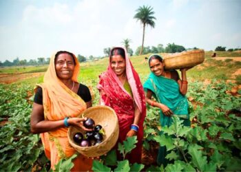 Uttar Pradesh government to groom 3 million rural women as micro agri-preneurs