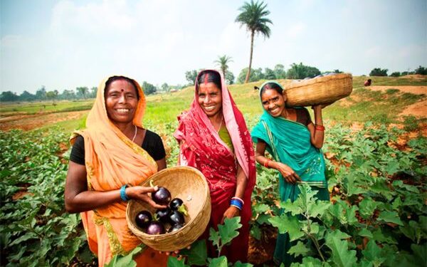 Uttar Pradesh government to groom 3 million rural women as micro agri-preneurs