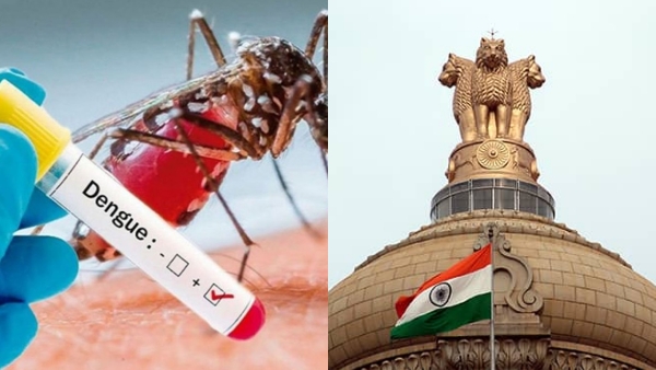 Health Ministry directs states, UTs to implement dengue prevention protocols