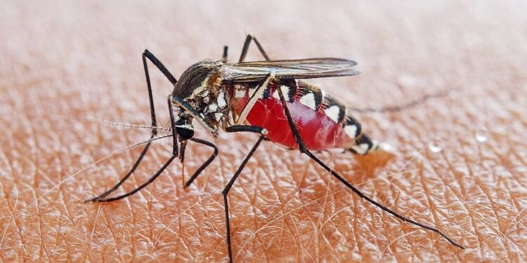 Combating Malaria, Serum Institute of India and Oxford Uni’s Malaria vaccines gets WHO’s nod for global rollout