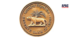 RBI’s New Draft Proposals Could Reshape Private Bank Subsidiary Operations