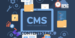 Contentstack launches CMS program to support Indian startups and developers