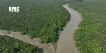 Bengal plans ecological projects with World Bank and ADB to save Sundarban and Kolkata