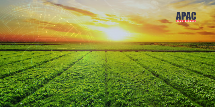 IIT Madras and Agriculture Ministry Join Hands for Project VISTAAR