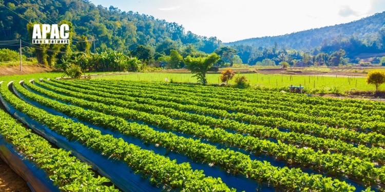 Maharashtra Explores AI for Agriculture to Tackle Productivity and Cost Challenges