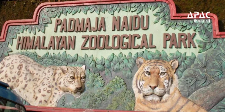 Darjeeling Zoo, India's first to preserve DNA of Himalayan wildlife.