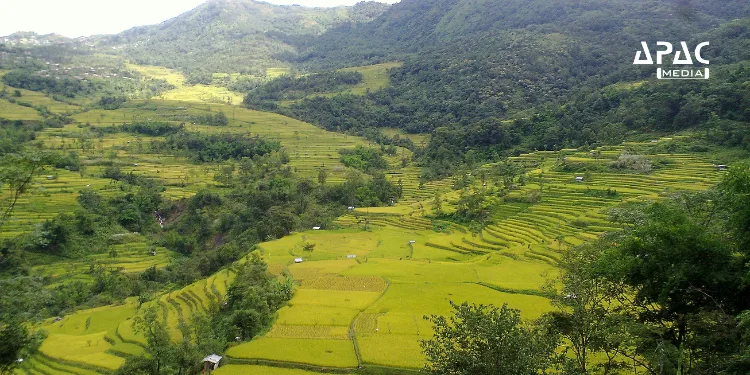 NECTAR establishes a Common Facility Center (CFC) in Nagaland's Kukidolong village to boost rural entrepreneurship.
