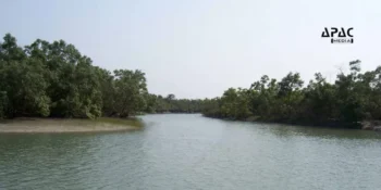 West Bengal Electricity Department to build new 33/11kV sub-stations across South 24 Parganas, including Sundarbans, to improve power supply and connectivity.