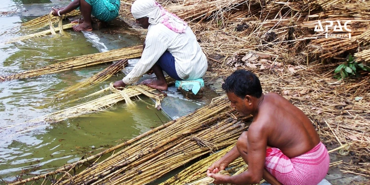 The Jute Corporation of India is collaborating with ISRO to revolutionise jute production.