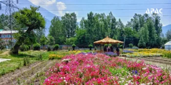 West Bengal to set up two floriculture Centres of Excellence in Nadia and Darjeeling with Dutch collaboration to boost flower production, training and exports.