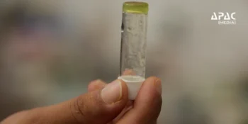 IIT Guwahati researchers develop a new material to detect kerosene adulteration in petrol and absorb oil spills, offering safer, eco-friendly cleanup solutions.