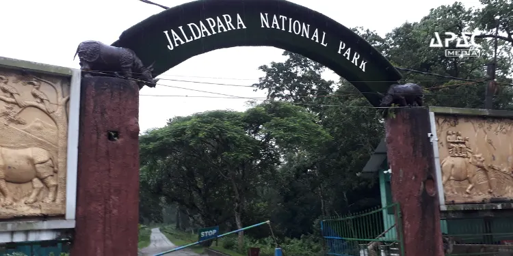 Jaldapara National Park has deployed 210 cameras across 212 sq km to strengthen wildlife monitoring, support anti-poaching efforts and enable science-based conservation.