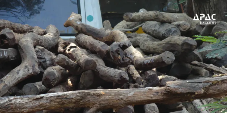 NBA disburses Rs 14.88 crore to Andhra Pradesh Forest Department for red sandalwood conservation, taking total ABS benefit-sharing payouts beyond Rs 143 crore.