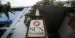 Sun Pharma Shares Jump 7% After $11.75B Organon Deal Announcement
